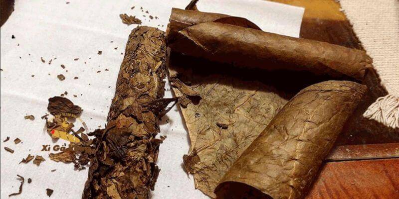 Xì gà Cuba có cấu trúc đồng nhất và chắc tay.